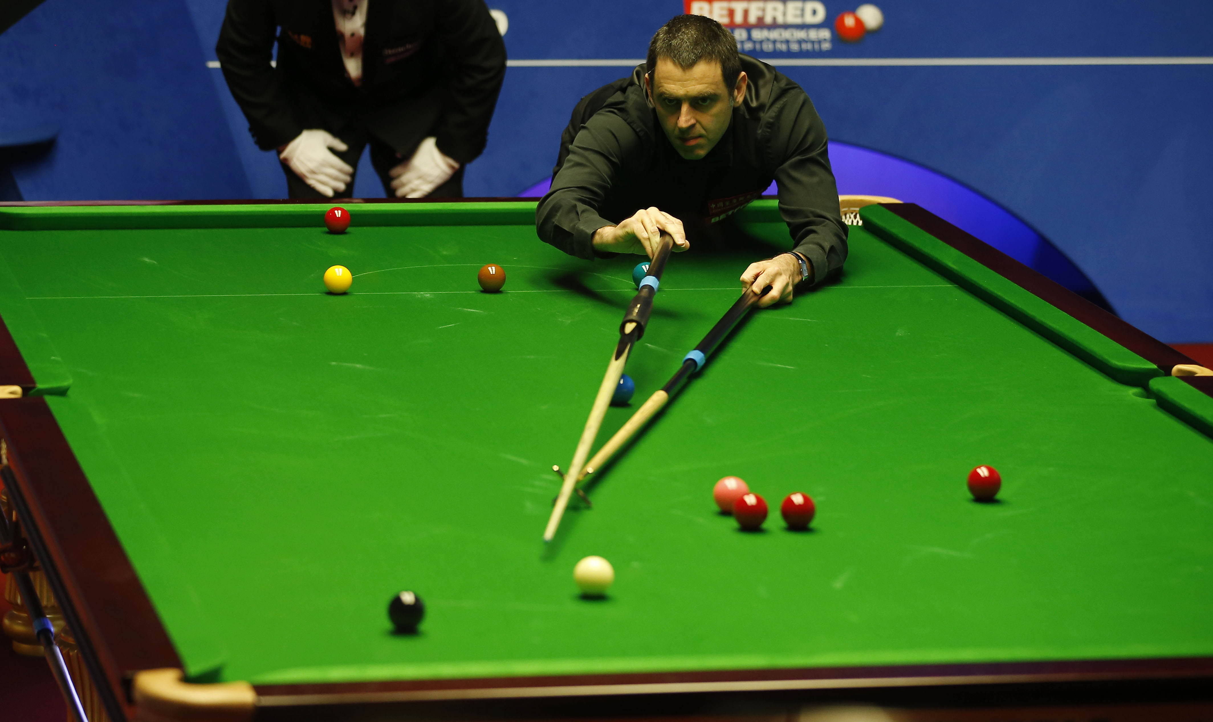 也代表了世 也代表了世