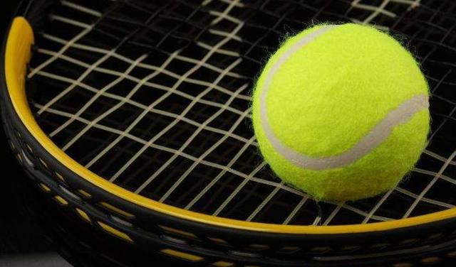 引发了球迷 引发了球迷