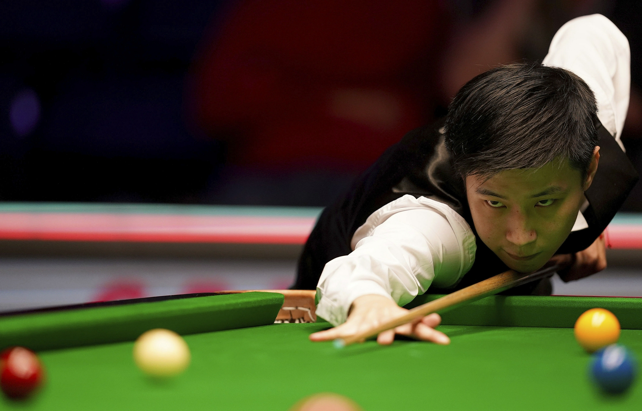 这句话不仅 这句话不仅