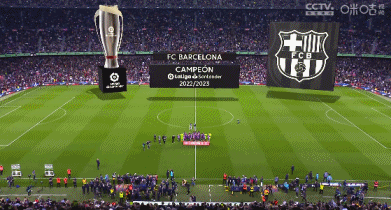 变向低射 变向低射